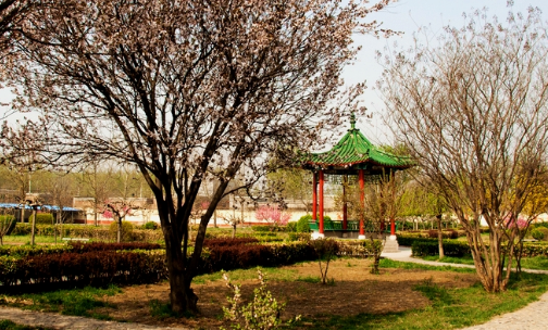 定州市职业技术教育中心