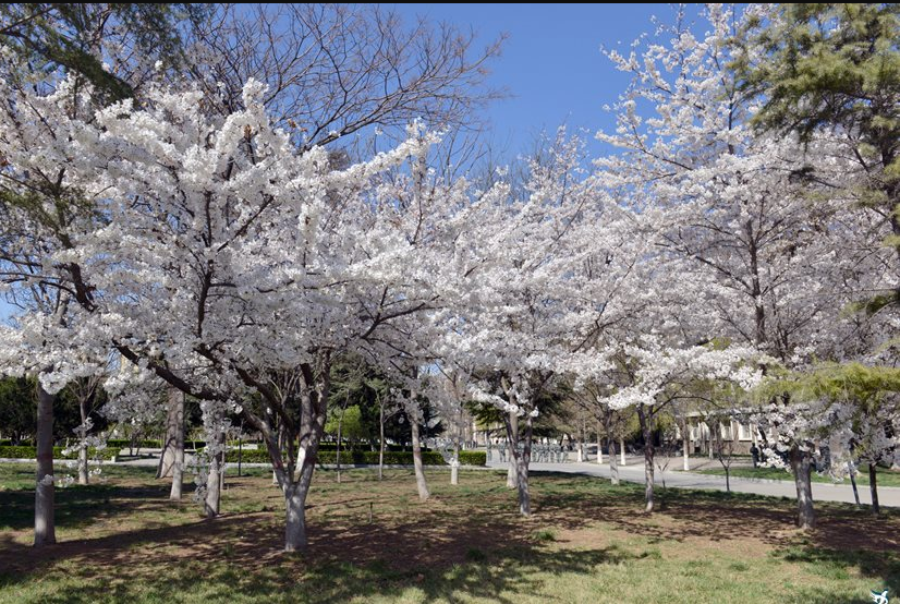  邯郸建筑工程中专学校