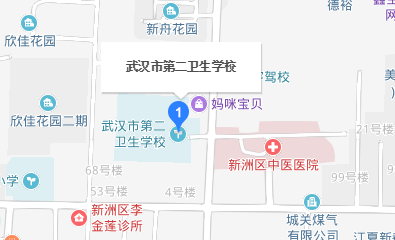 武汉市第二卫生学校地址