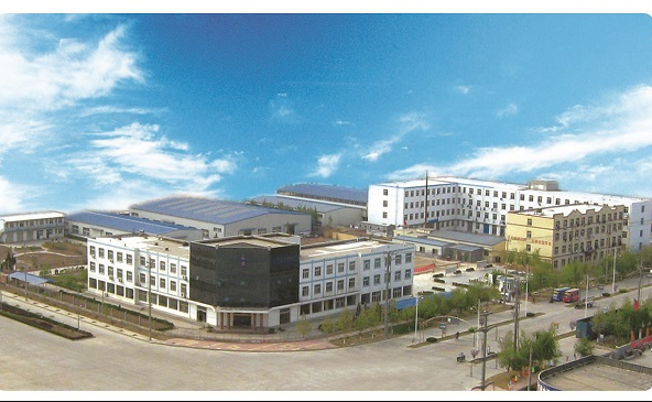 安国市东河职业中学