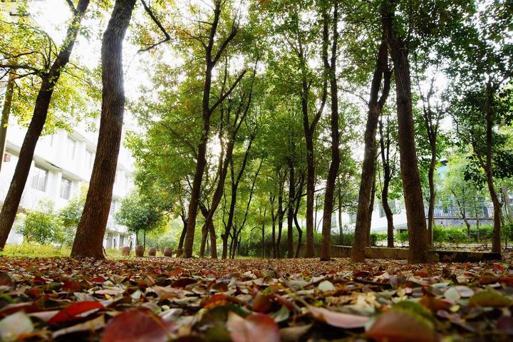 湖南耒阳师范学校环境