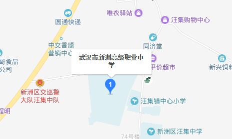 武汉市新洲高级职业中学地址在哪里、怎么走、乘车路线