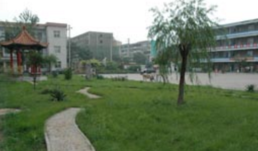 河南省理工学校