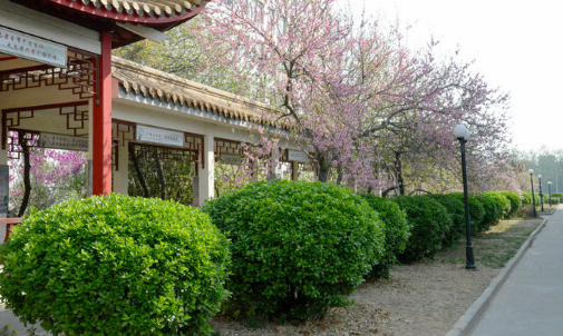 河南省财经学校