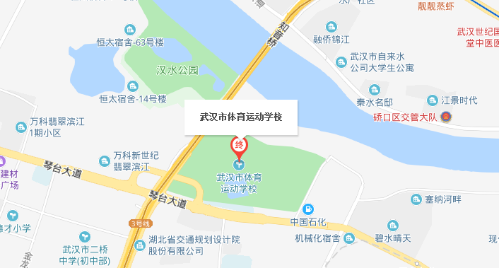武汉市体育运动学校位置地图