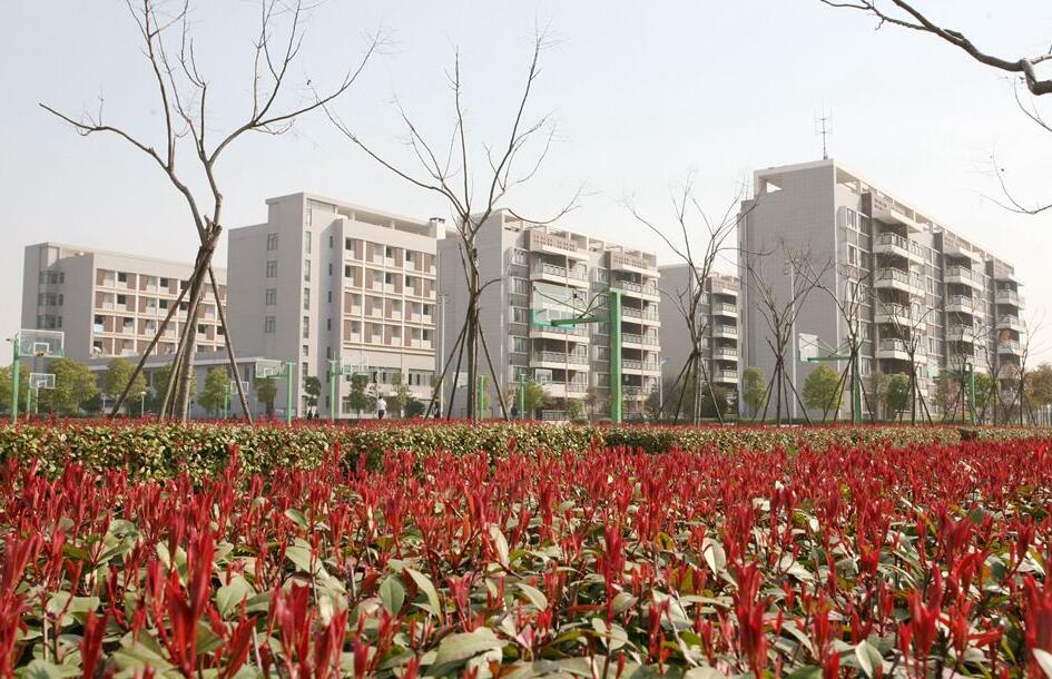 武汉市仪表电子学校环境图