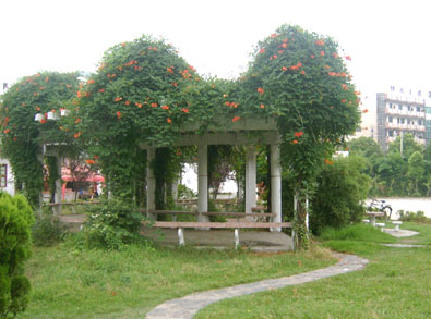 汉川中等职业技术学校 汉川中等职业技术学校