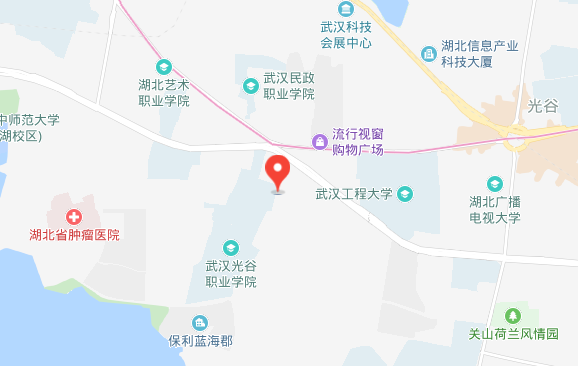 武汉信息工程职业学校位置地图