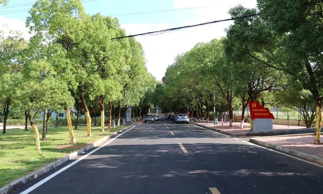 泰和职业中等专业学校