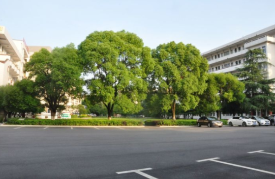 郴州综合职业中专学校环境 