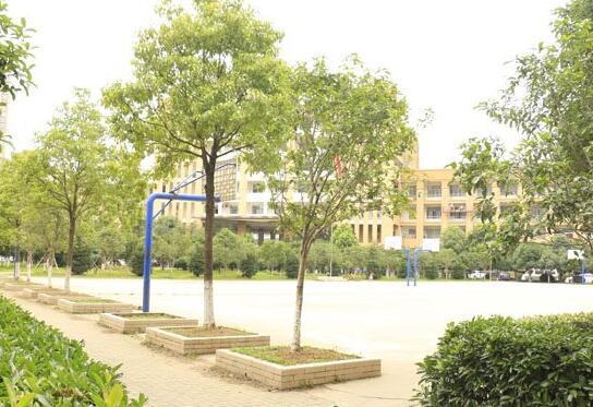 武汉市江夏区卫生学校招生条件、招生对象、招生分数