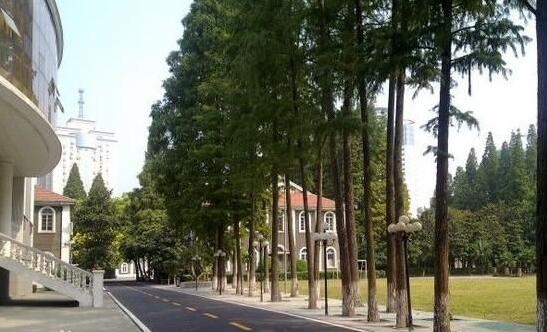 武汉音乐学院附中怎么样、好不好