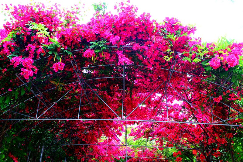 四川希望汽车技师学院宿舍环境、寝室环境