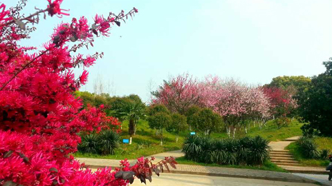 江西省医药学校