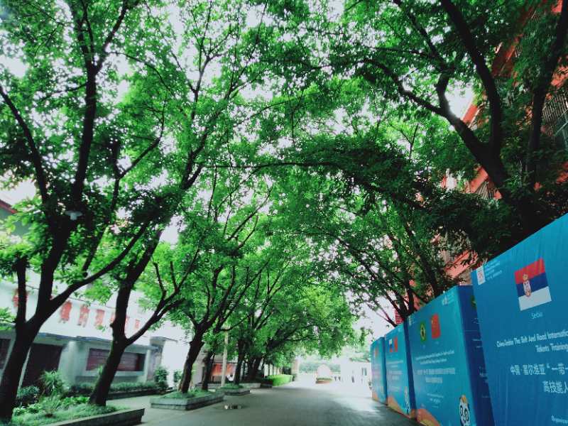 信阳市中等专业技术学校环境 信阳市中等专业技术学校环境