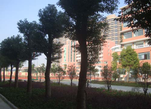 南昌市按摩职业学校