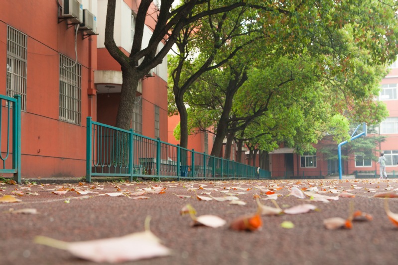 震旦中等专业学校简介、概况