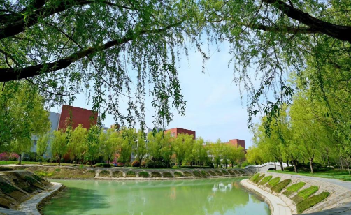 临沂市经济学校