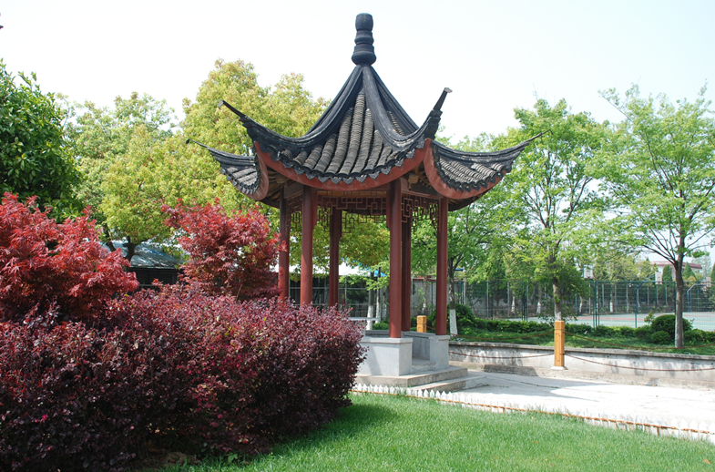 上海市工程技术管理学校环境、学校图片