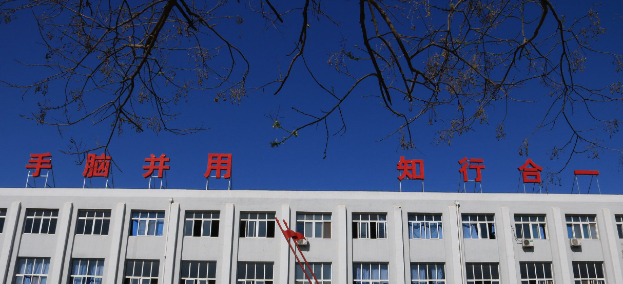 天津市劳动经济学校环境、学校图片