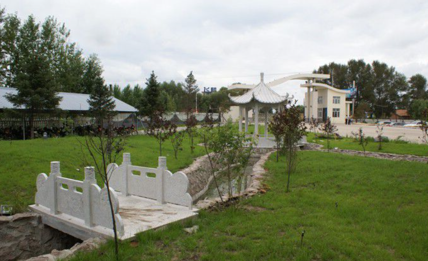 龙江县职业技术教育中心学校环境、学校图片