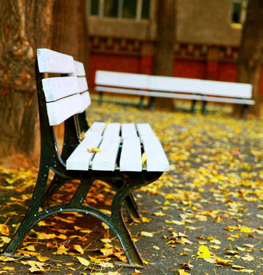 黑龙江医药卫生学校环境、学校图片