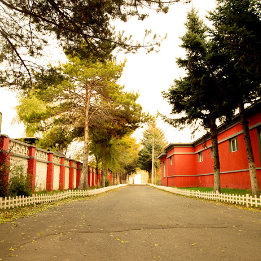 黑龙江医药卫生学校环境、学校图片