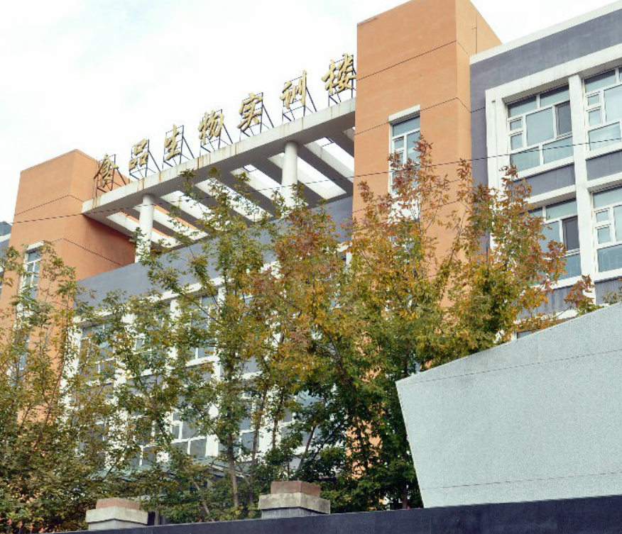 哈尔滨轻工业学校环境、学校图片 哈尔滨轻工业学校环境、学校图片