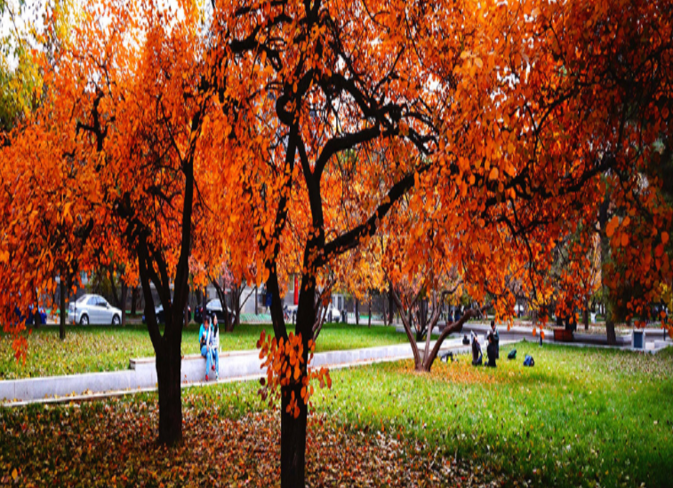 黑龙江外事学校环境、学校图片