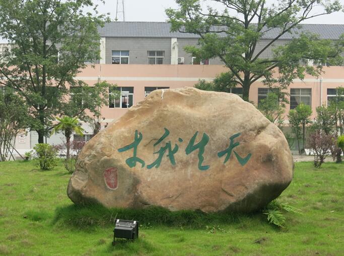 池州市旅游学校环境图