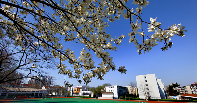 山东省青岛卫生学校