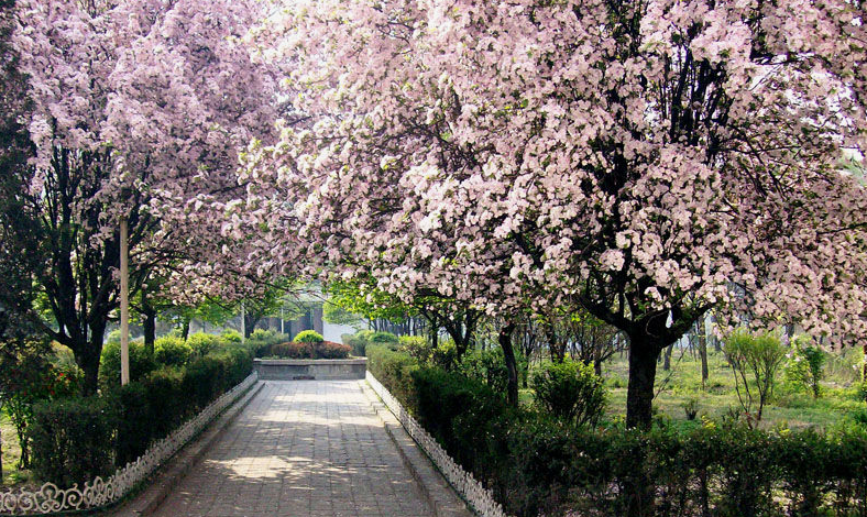 苏州铁路机械学校