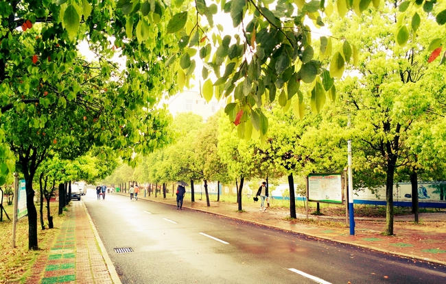 安庆市宜城科技学校环境图