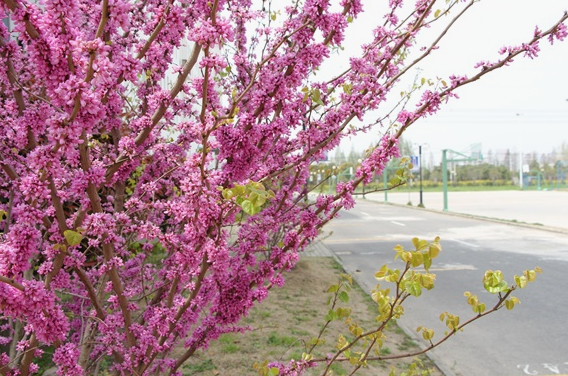 南京商业学校