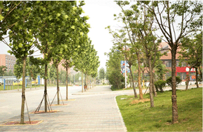 安徽万通高级技工学校 安徽万通高级技工学校