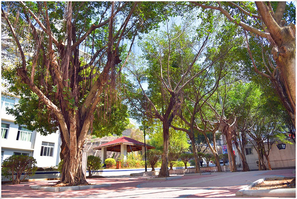 福建经济学校宿舍环境、寝室环境