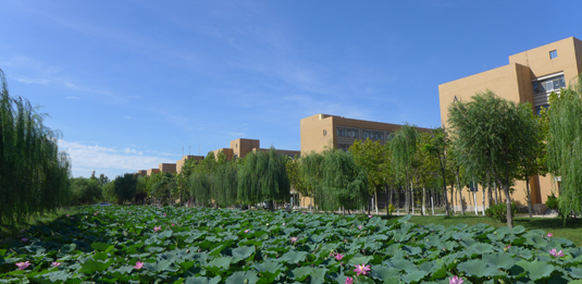 青岛上海戏剧学院艺术学校