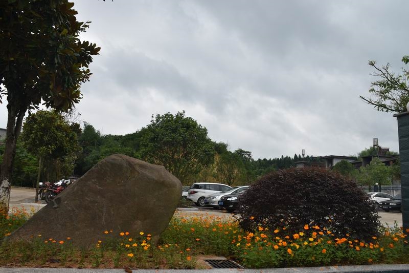 建宁县职业中学