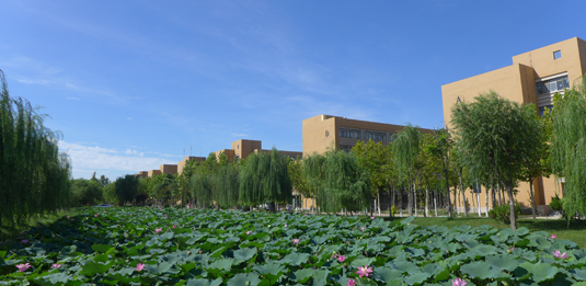 烟台经济学校 烟台经济学校
