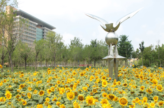 菏泽旅游职业中等专业学校 菏泽旅游职业中等专业学校