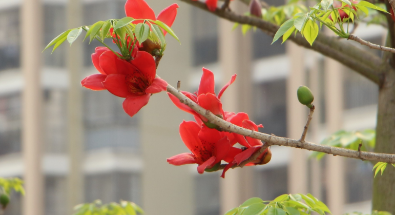 北流市卫生学校