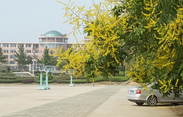 防城港市理工职业学校