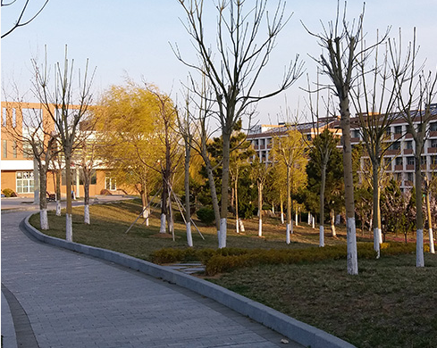 甘肃省水利水电学校