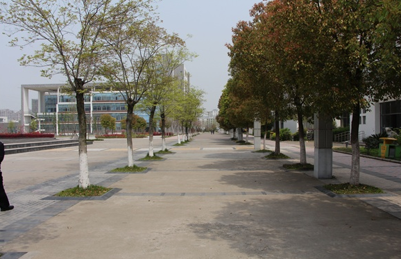 柳江县职业教育中心