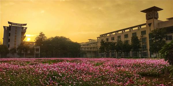 顺德区龙江职业技术学校招生要求、学校招生对象